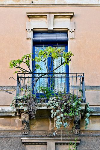 Sicilian balcony with Mediterranean charm in Catania