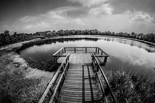  Rozenven op landgoed Visdonk in Roosendaal (Brabant) (zwartwit)