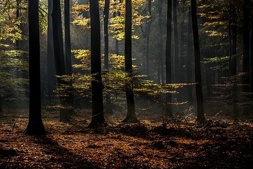 herfstsfeer