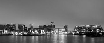 Rotterdam bij nacht van Léontine Lamers