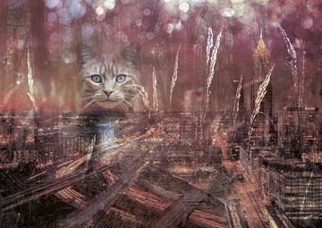Katze über Atlanta von Andreas Schulte