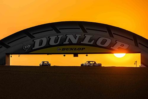 Alpin au soleil du matin