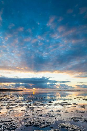mer des Wadden sur Ton Drijfhamer