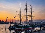 2015-02-06 Rickmer Rickmers von Joachim Fischer Miniaturansicht