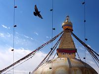 Bouddhanath Stupa Kathmandu Nepal