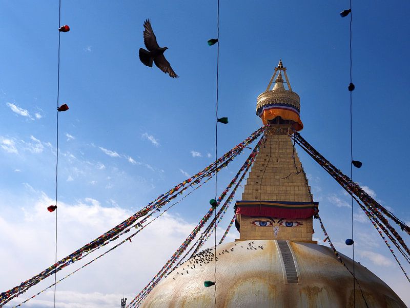 Bouddhanath Stupa Kathmandu Nepal van Ryan FKJ