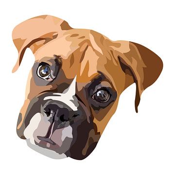 Boxer hond tekening