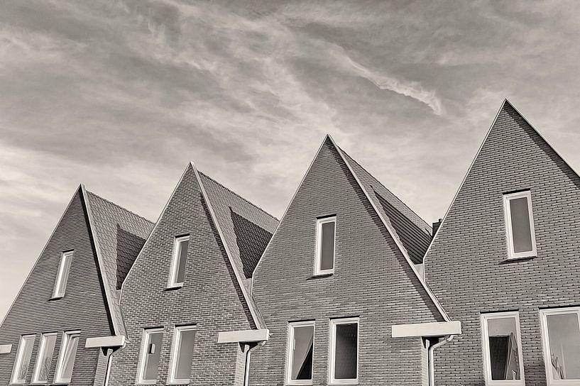 Quatre d'affilée par Peter van Vuuren