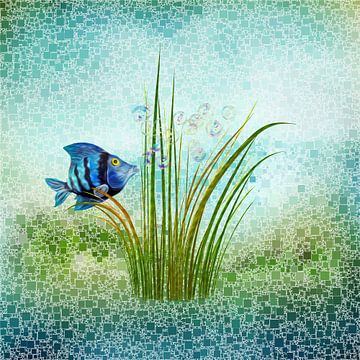 little Fish by Dagmar Marina