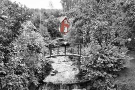 Arbres fruitiers le long d'un ruisseau avec un petit pont devant une maison en bois rouge en Suède.