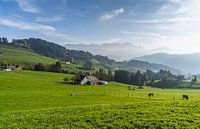 Appenzellerland mit Blick zum Säntis, Schweiz