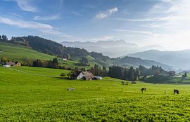 Appenzellerland with view of the Säntis, Switzerland by Conny Pokorny