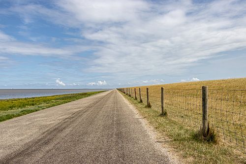 Waarheen leidt de weg