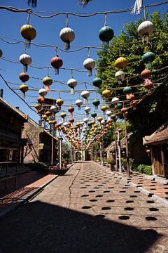 Harmonie de couleurs et de traditions vietnamiennes sur Frank Photos