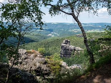 Climbing rock Große Hunskirche in the Elbe Sandstone Mountains by Animaflora PicsStock