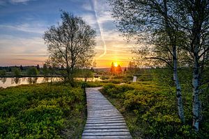 Brackvenn, Hohes Venn, Belgien