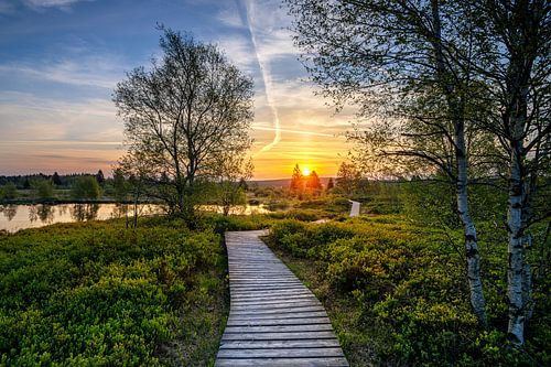 Brackvenn, Hohes Venn, Belgien