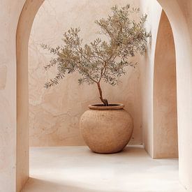 Mittelmeer-Olivenbaum von IamHome Studio