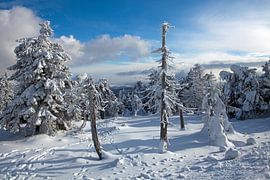 Winter impressions from the Brocken (Harz) by t.ART