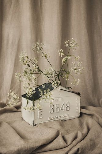 Stilleven met fluitenkruid en linnen doek