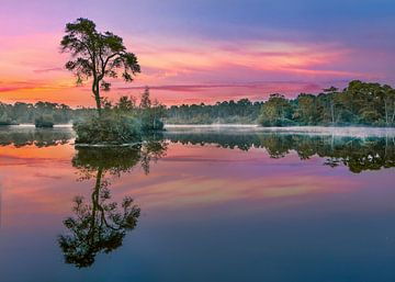 Red and turquoise sunrise reflected in a lake_3 by Tony Vingerhoets