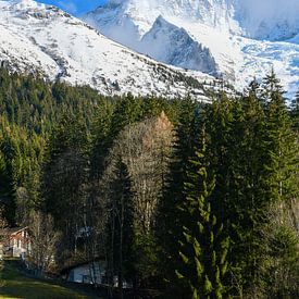 Jungfrau by Bettina Schnittert