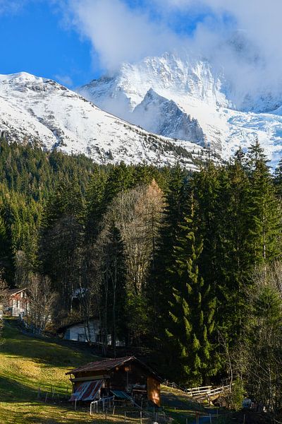 Jungfrau von Bettina Schnittert