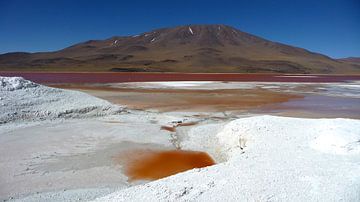 'Rood', Bolivia