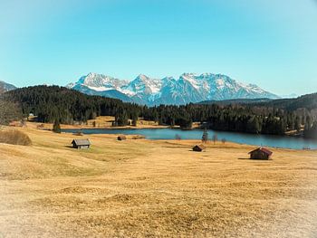 Frühlingszauber am Geroldsee – zarte Krokusblüten, ruhiges Wasser und beeindruckende Bergkulisse. Ein romantisches Alpenmotiv voller Farbe und Ruhe.