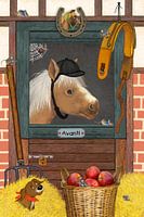 My funny horse Avanti