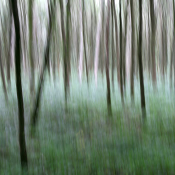 Der Wald I