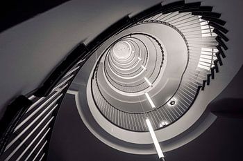 The black hole