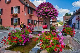 Fountains in Alsace