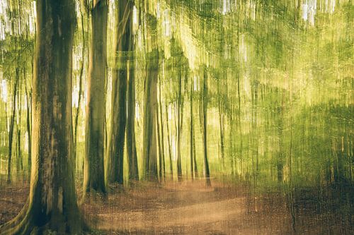 Renkums Beekdal part 4