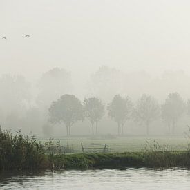 misty morning von Nynke de Bruijne
