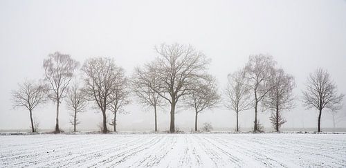 minimalistisch winterlandschap met akker en bomenrij