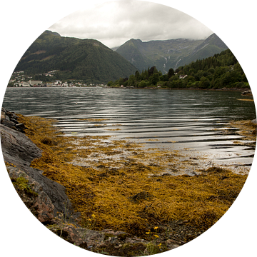 sognefjord  in het najaar van Karijn | Fine art Natuur en Reis Fotografie
