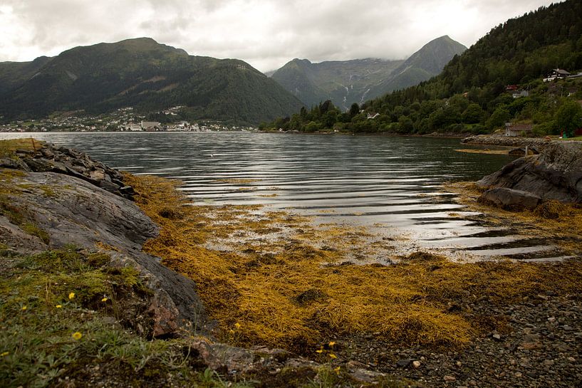 sognefjord en automne par Karijn | Fine art Natuur en Reis Fotografie