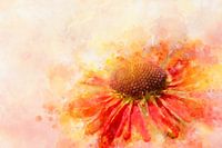 Blumen 5