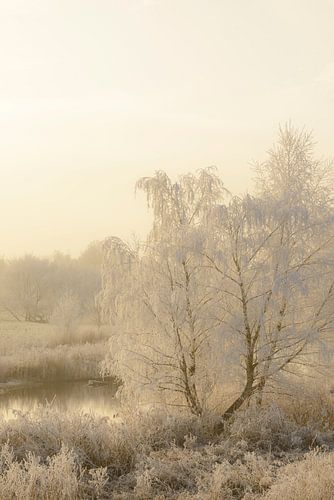 Winterlandschap in de delta van de IJssel bij Kampen
