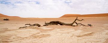 Deadvlei sur Leo van Maanen