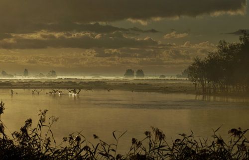 Zonsopkomst in de Mist