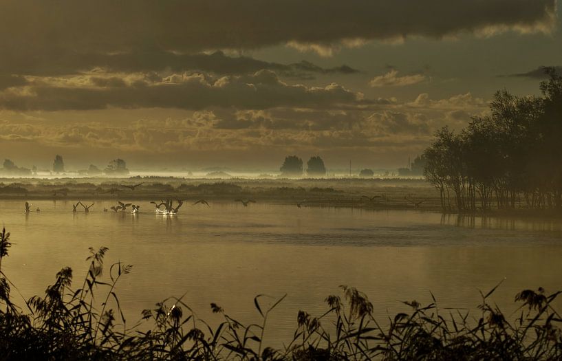 Zonsopkomst in de Mist van Annita Hoekstra