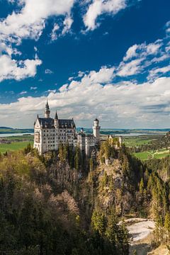 Schloss Neuschwanstein von der Marienbrücke von Thomas Rieger