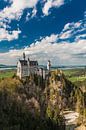 Schloss Neuschwanstein von der Marienbrücke von Thomas Rieger Miniaturansicht