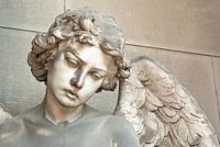 Angel boy with wings