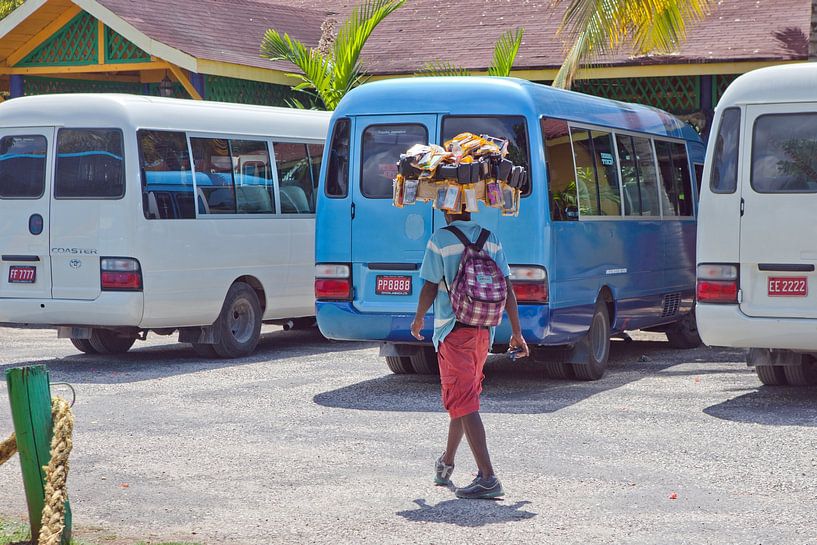 Cell phone case salesman in Black River by t.ART