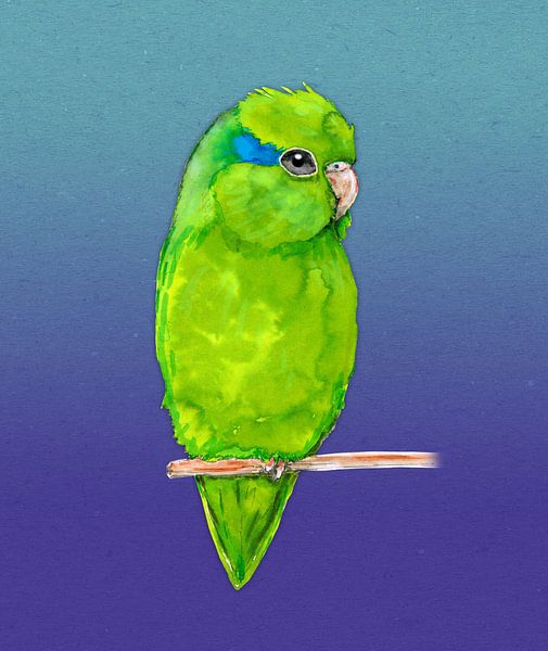 Green parrotlet watercolor by Bianca Wisseloo