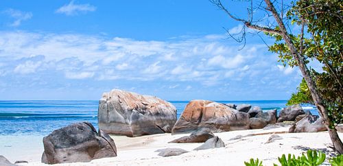 Seychelles Beach Rocks