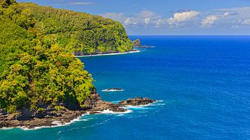 Vue sur la mer depuis la route de Hana, Maui, Hawaii sur Henk Meijer Photography